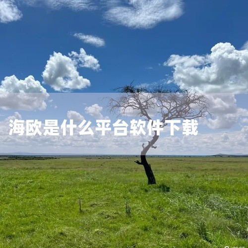 海鸥是一款由成都争渡科技有限公司开发并运营的加密即时通讯社交软件。该软件依靠加密算法保护用户的聊天隐私...,