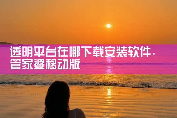 透明平台在哪下载安装软件