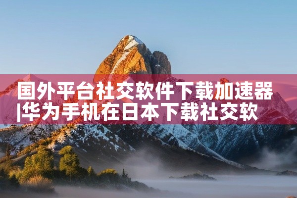国外平台社交软件下载加速器