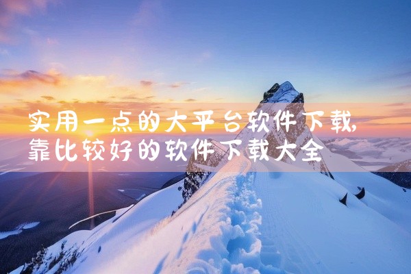 实用一点的大平台软件下载